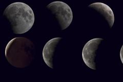 CokONtxpXTtN_1824x0_TH7DNjPO